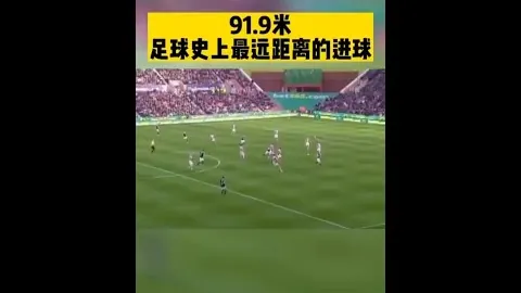 2025年1月26日：动图解读——运动哲学揭示